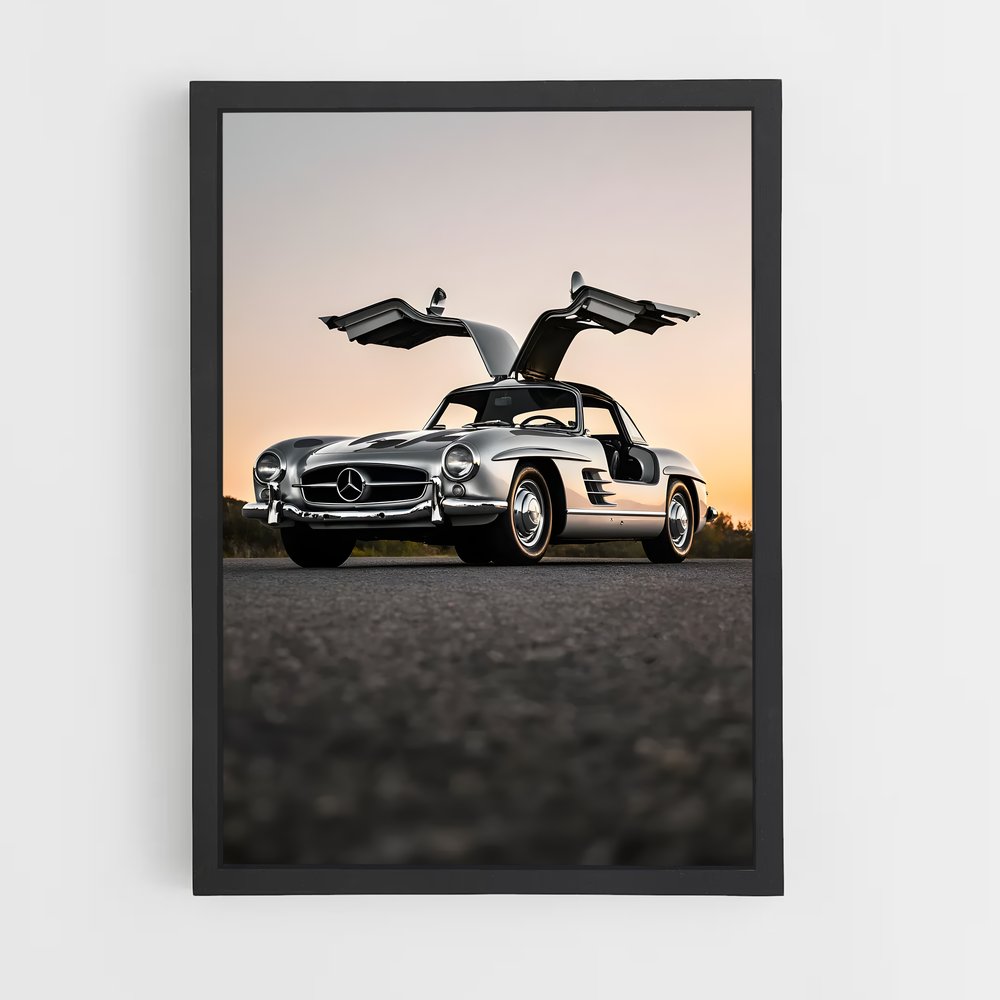 Poster L'Aile de la Mercedes (vue 2)
